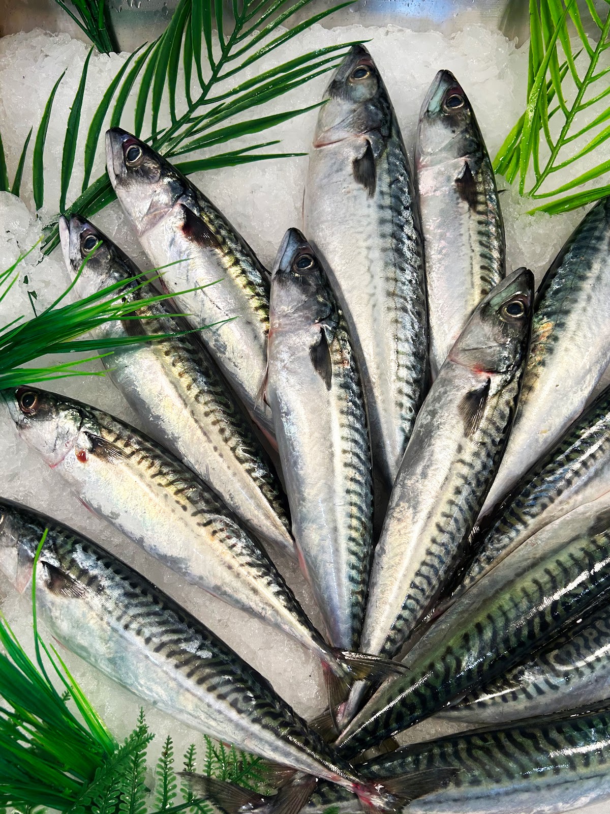 Poissonnerie Le Vivier - Photo 9