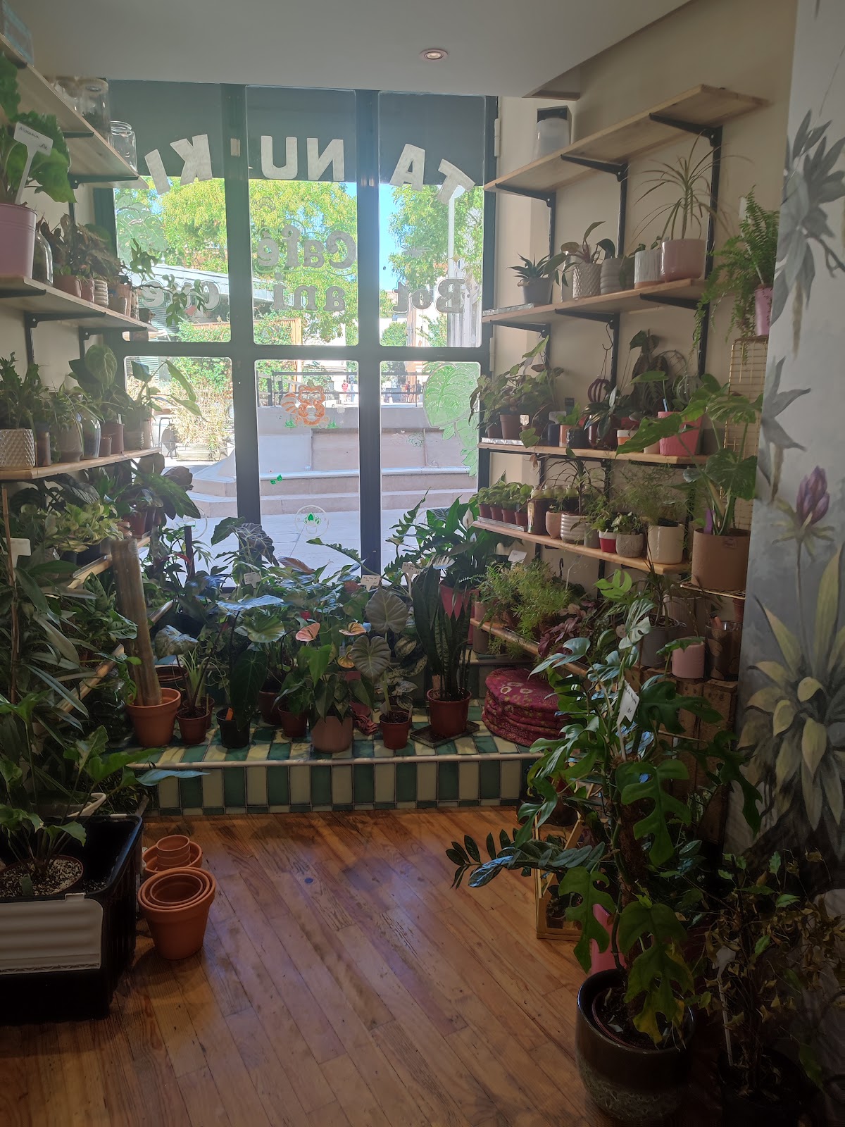 Salon du Tanuki - Photo 3