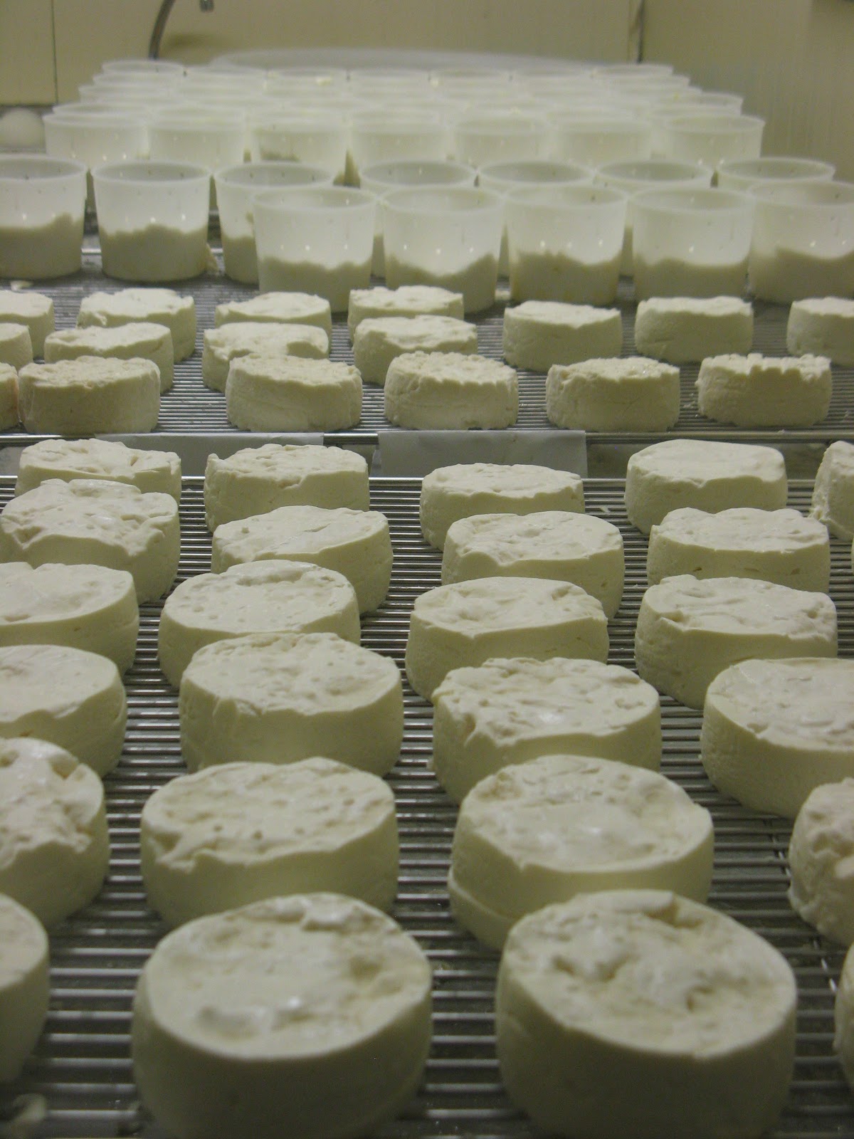 Serfac - Grossiste Fromage - Photo 3
