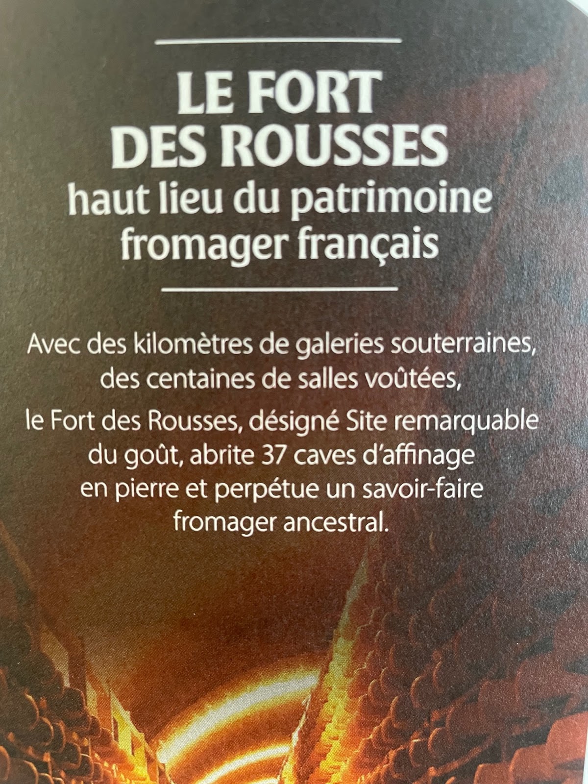 Serfac - Grossiste Fromage - Photo 6