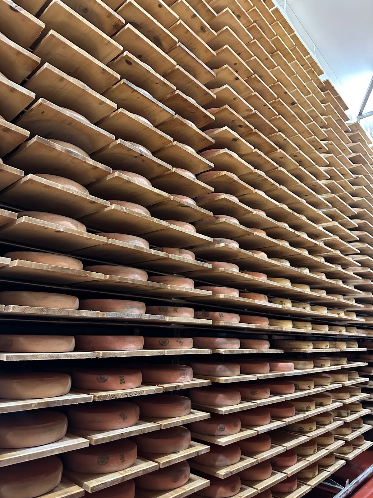 Serfac - Grossiste Fromage