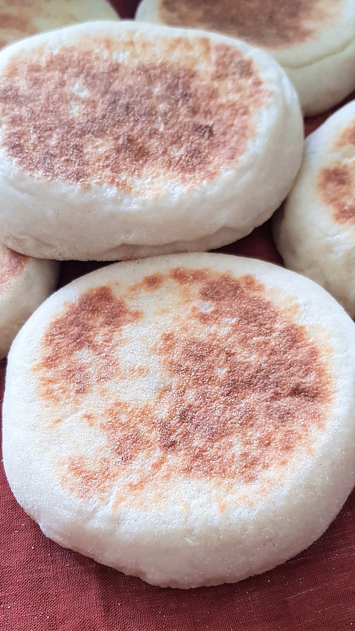 Tanja - Cantine Marocaine - Photo 10