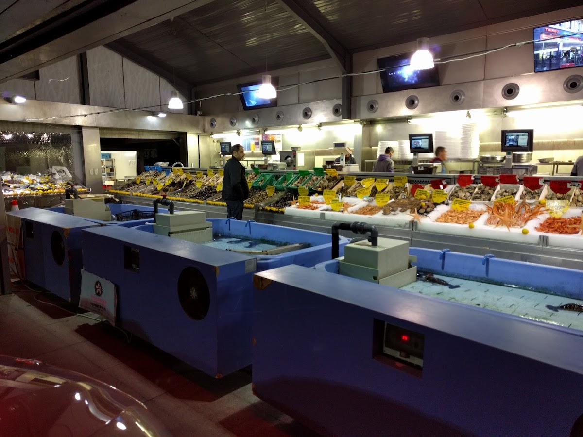 Toinou, les Fruits de Mer ! - Photo 10