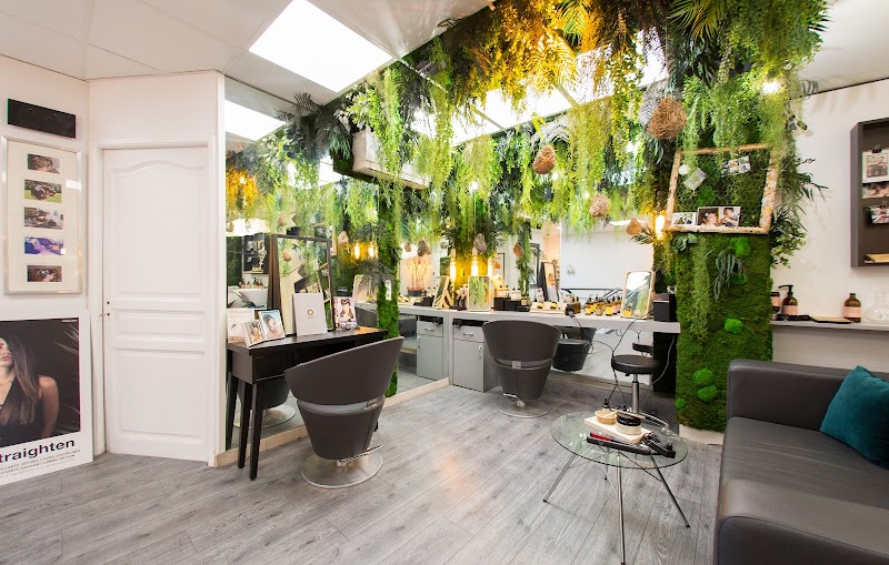 Jean Daniel'S Two LE SALON