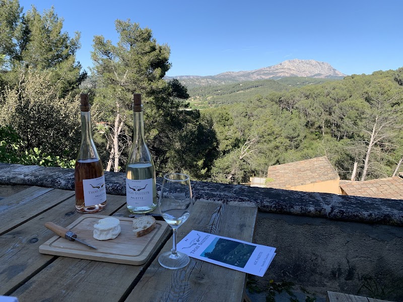 Château des Trois Sautets