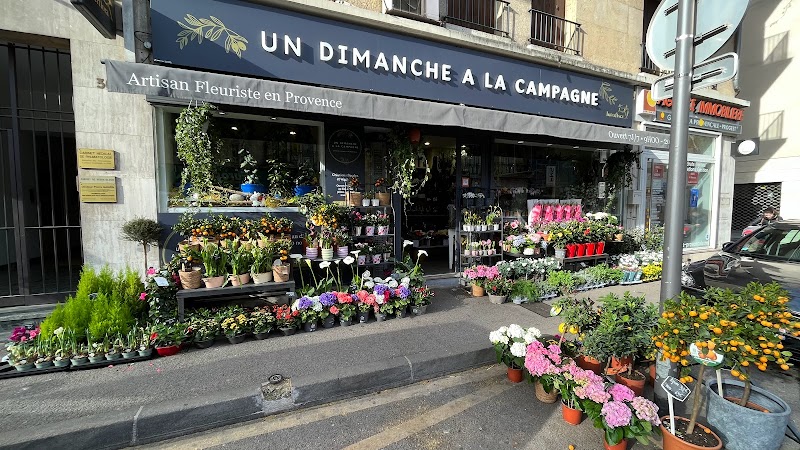 Un dimanche à la campagne