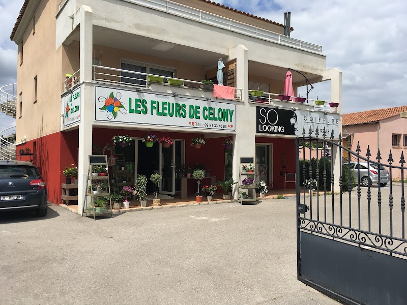 Les fleurs de Célony | Fleuriste Aix-en-Provence