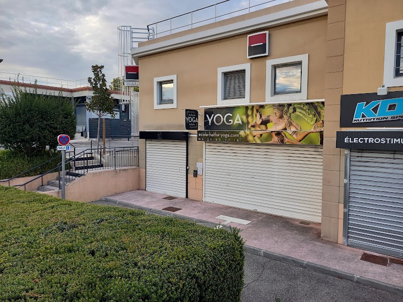 School Of Yoga Natha