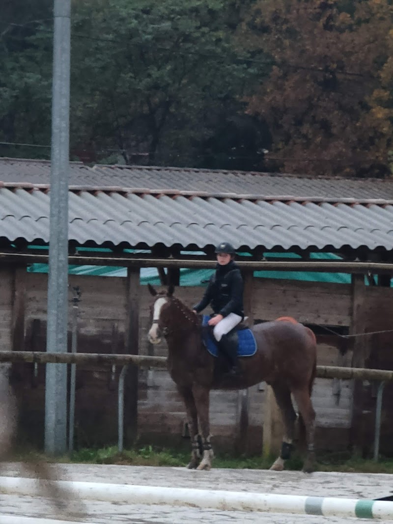 Aix Meyreuil Sports Equestres
