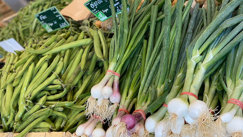 Les jardins de la présidente