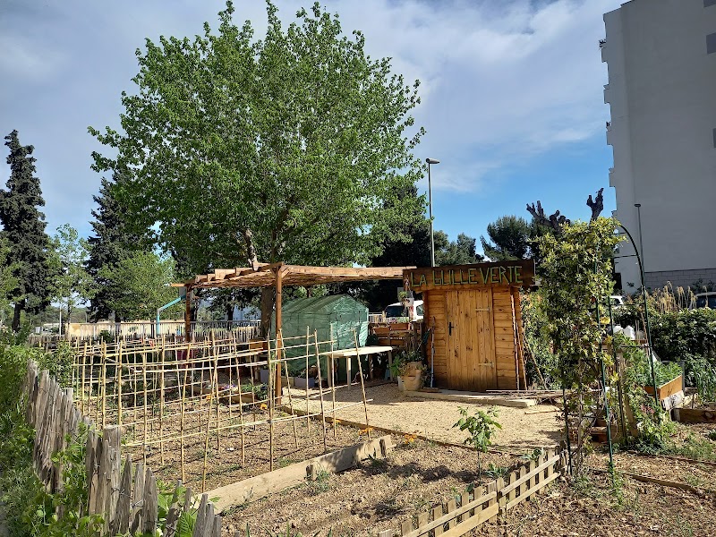 La Bulle Verte - Shared garden