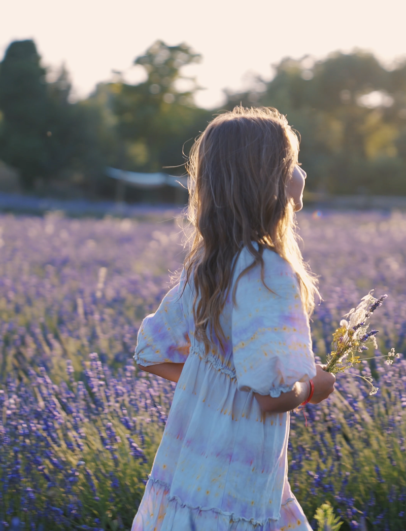 Home Lavender - Terre Ugo
