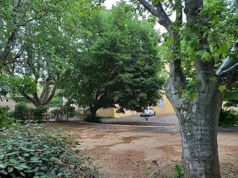 Square Bachagha Boualem