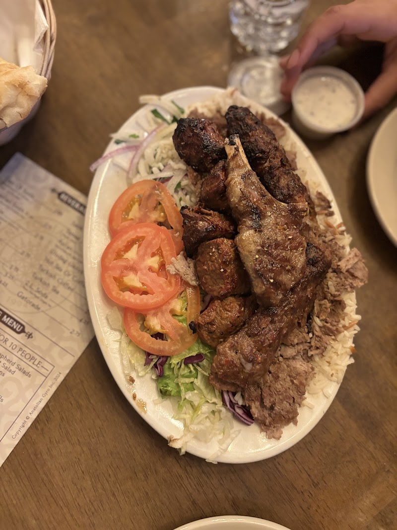 Anatolian Gyro 5