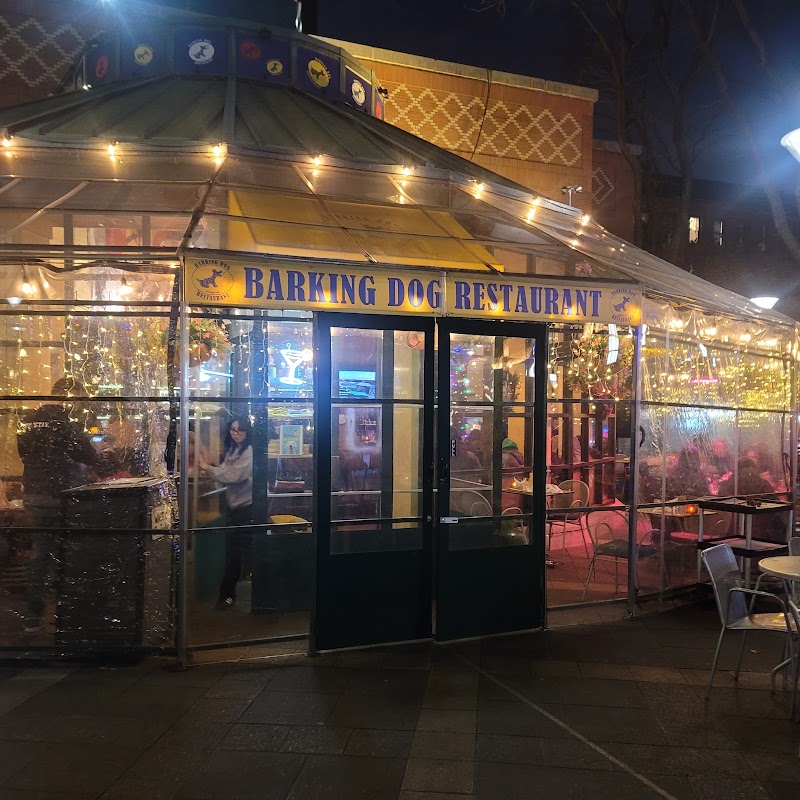 Barking Dog Hell’s Kitchen 4