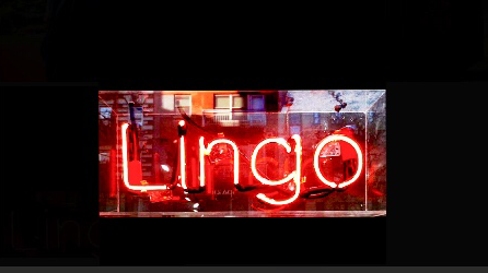 Lingo