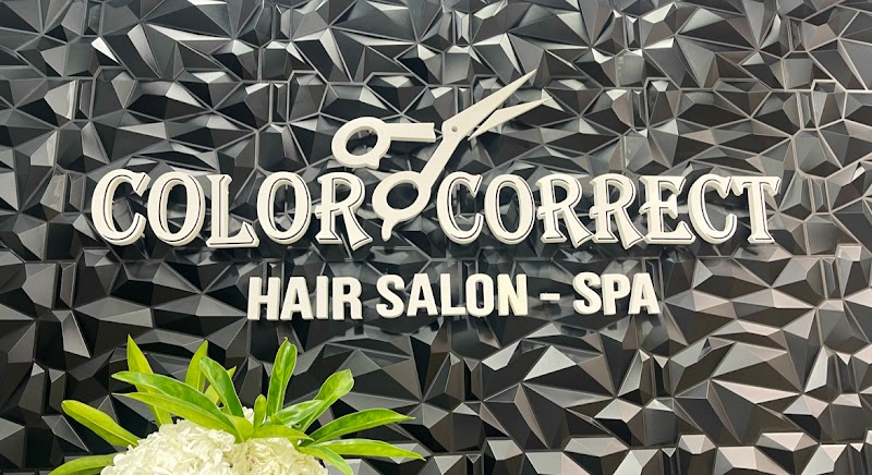 Color Correct Hair Salon