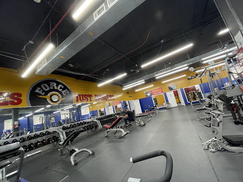 Force Fitness Club