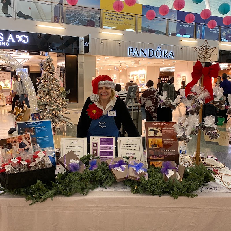 Sweet Vegan Chocolates