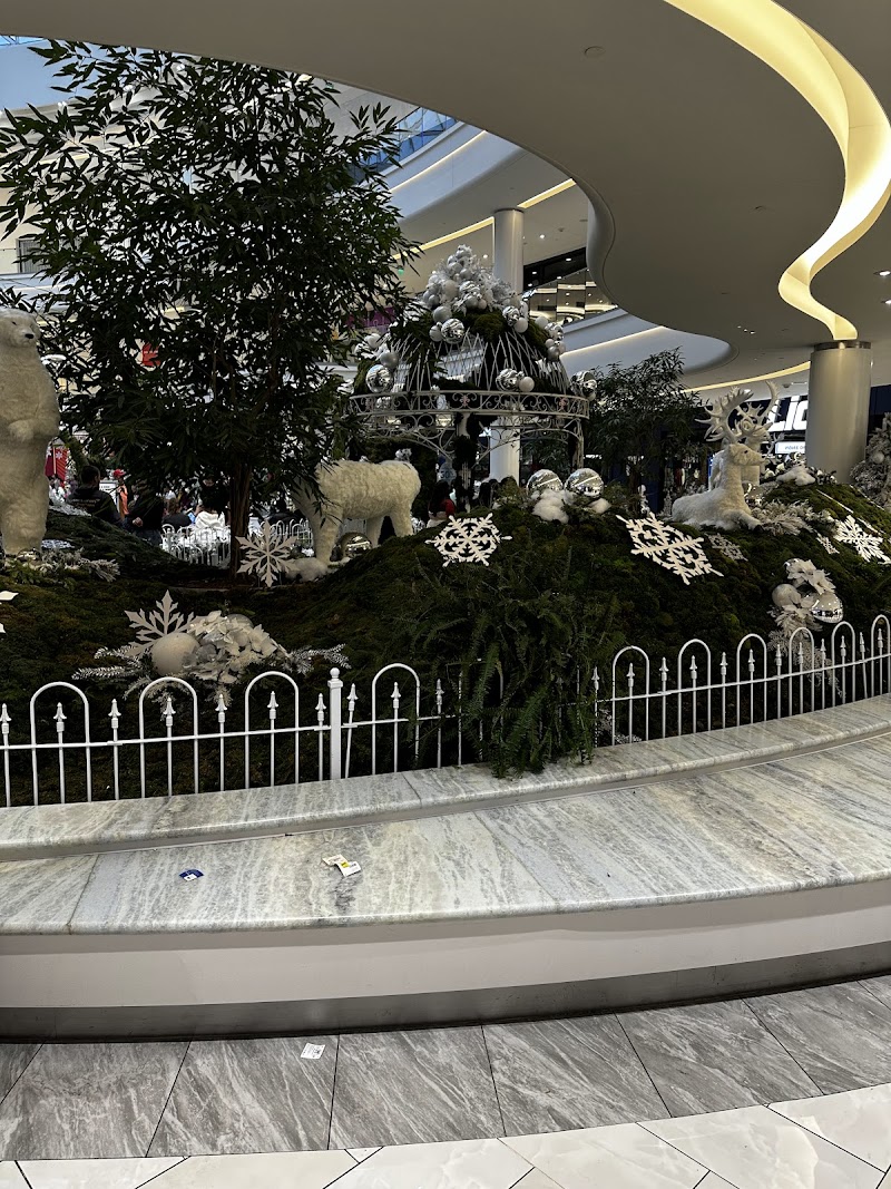 Cotton On Kids American Dream 2