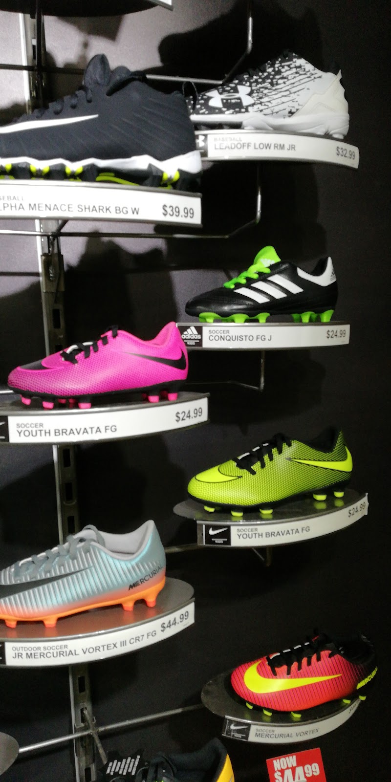 Modell's Sporting Goods 5