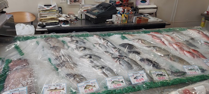 Metropolitan Fish Market 2