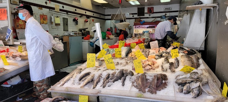 C.T. Seafood Marts 4