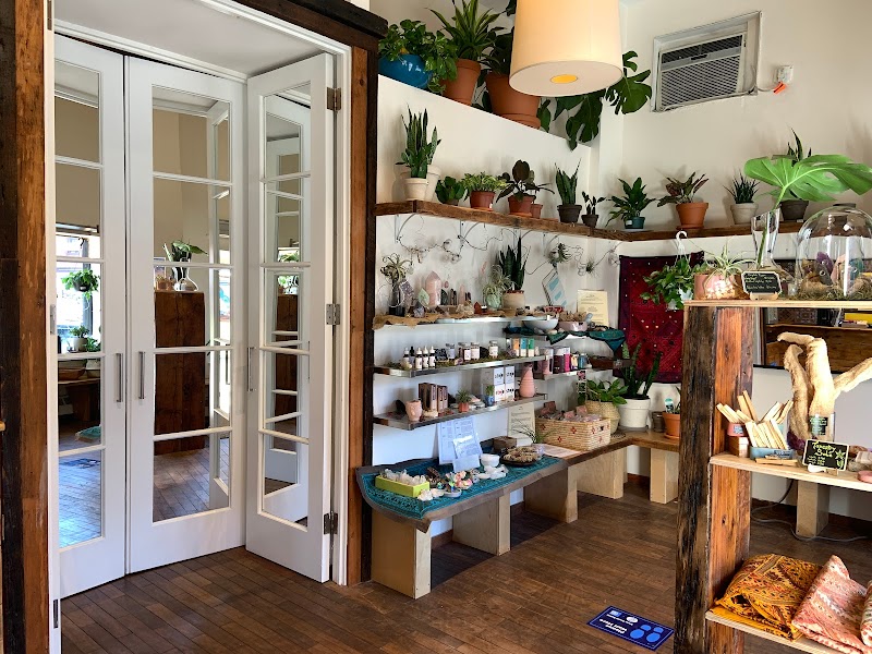 Area Infrared Sauna & Spa 3