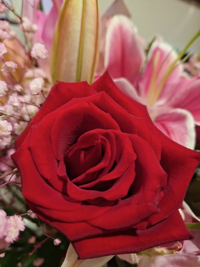 Ear & Nose Piercing Shop NYC