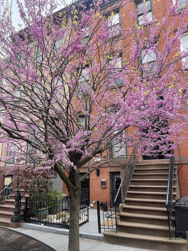 Yellow Block Bed & Breakfast