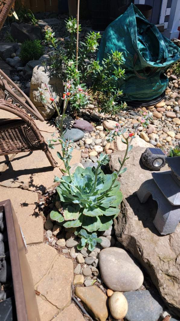 Room G Divine Villa and Resorts