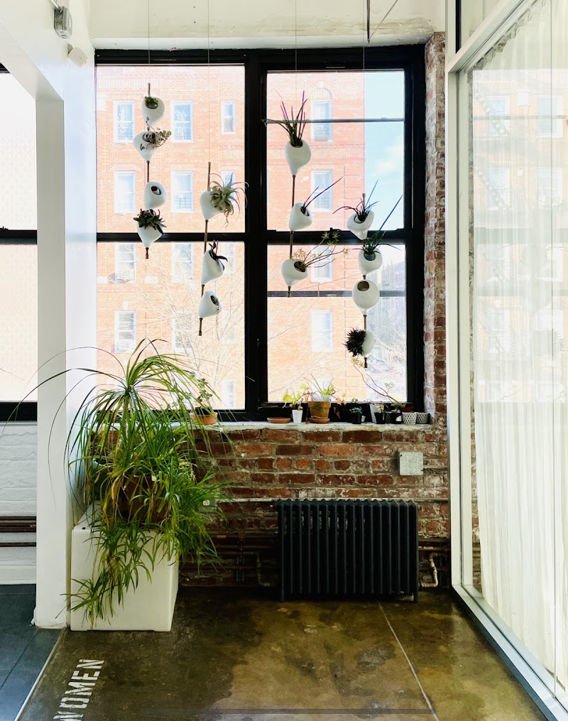 Yoga Tribe Brooklyn 3