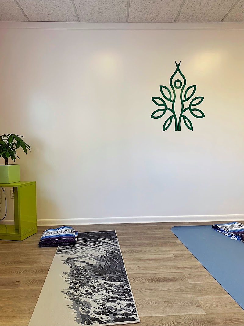 Energy Flow Yoga Studio