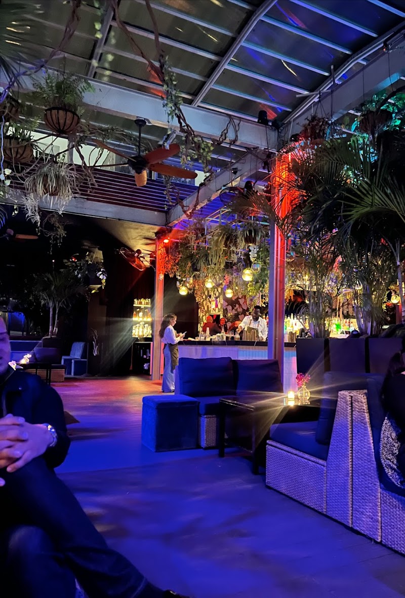 The DL | Best Rooftop Lounge NYC