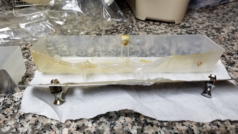 Pacific Hoods Inc. 5