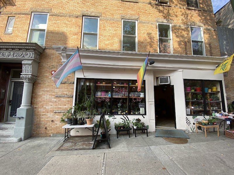 Planted IN Park Slope