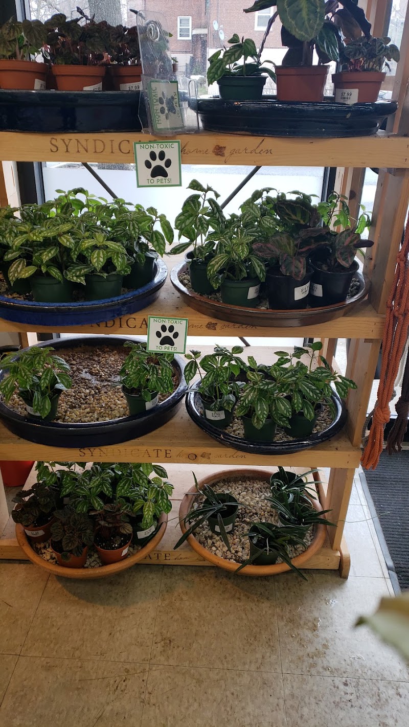 14th Street Garden Center 2