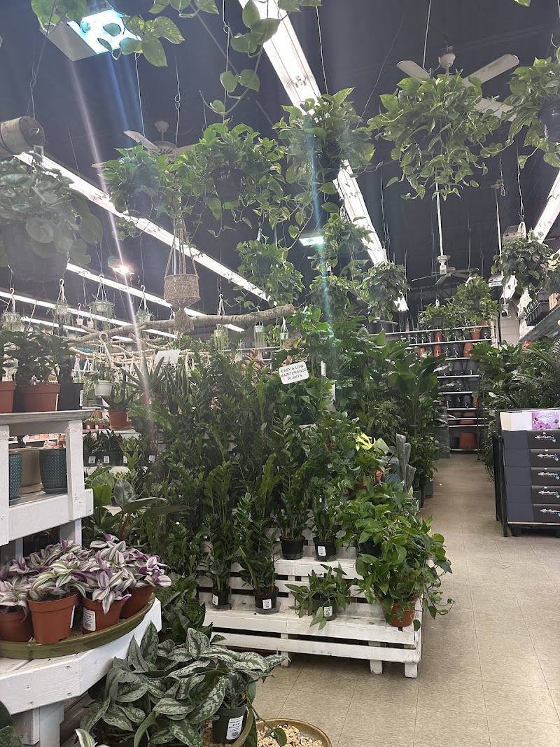 14th Street Garden Center 4