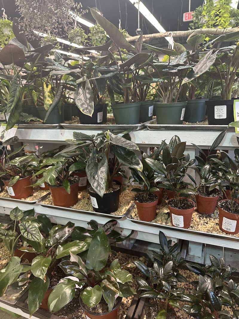 14th Street Garden Center 5