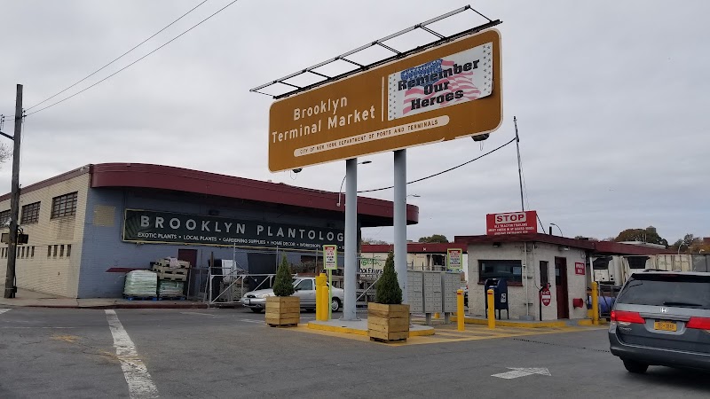 Brooklyn Plantology by Lapide