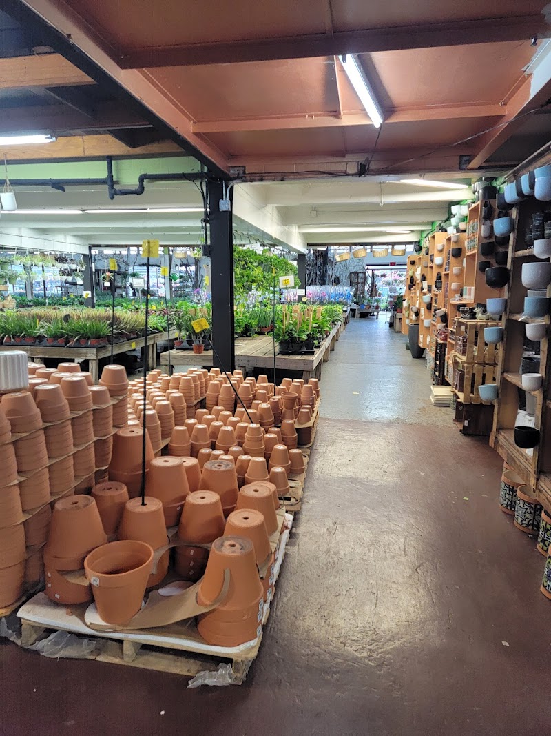 Brooklyn Plantology by Lapide 3