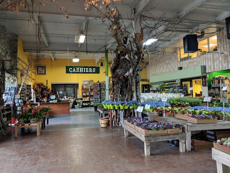 Brooklyn Plantology by Lapide 4