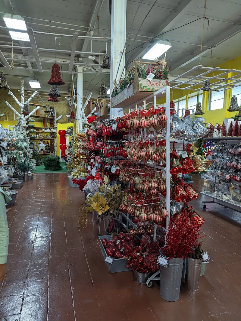 Brooklyn Plantology by Lapide 5