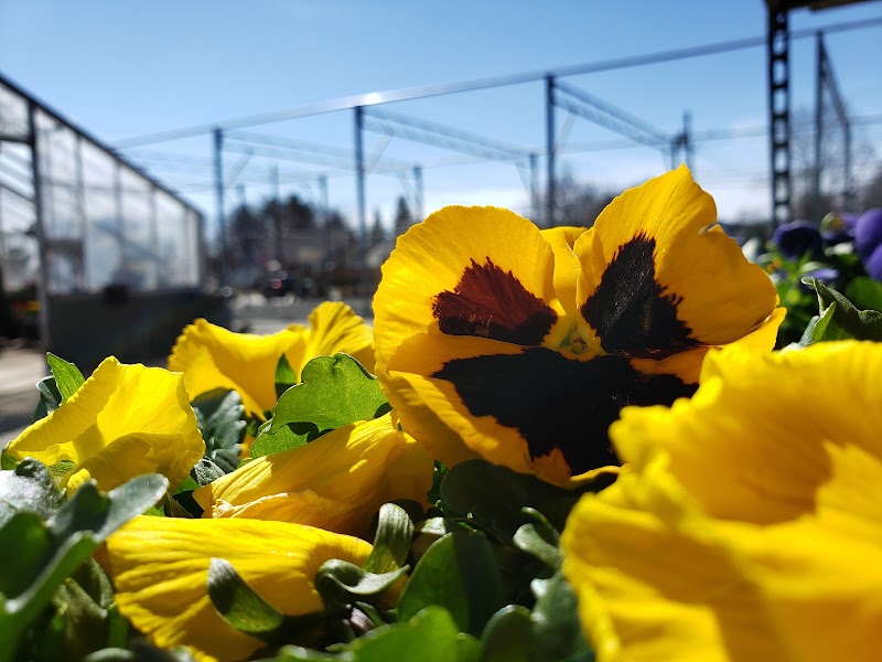 Centre Ridge Garden Center 2