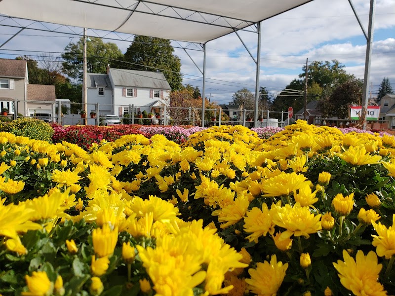 Centre Ridge Garden Center 4