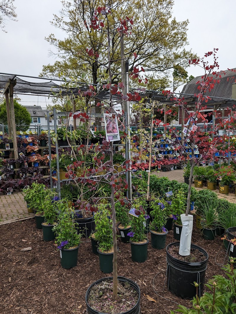Centre Ridge Garden Center 5