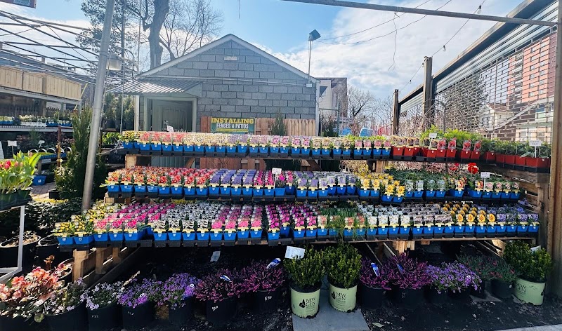 Diyarza Landscaping – Garden Center & Christmas Trees 5