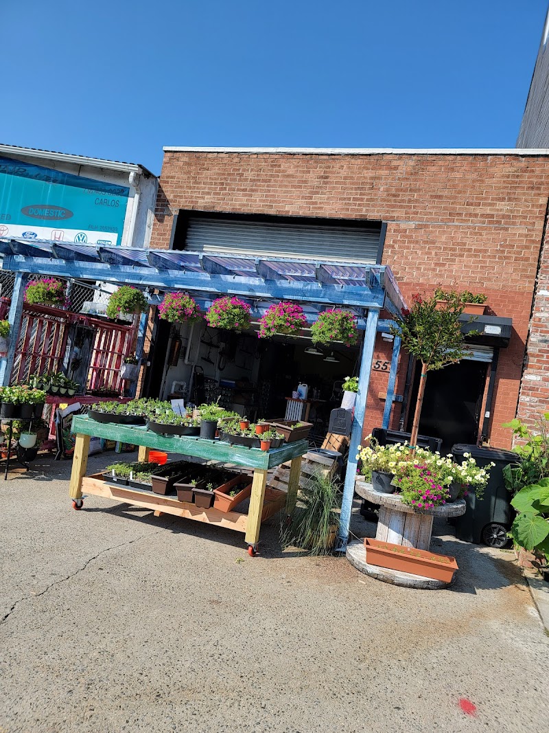 New York Hydro - Always Blooming