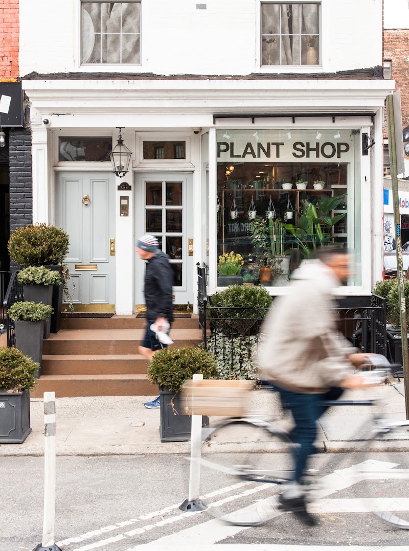 The Old Yew Plant Shop