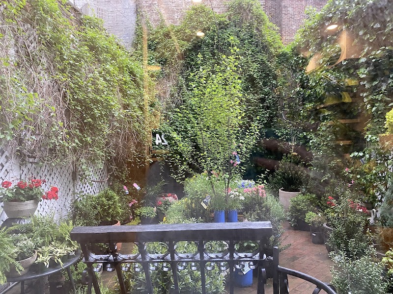 The Old Yew Plant Shop 2